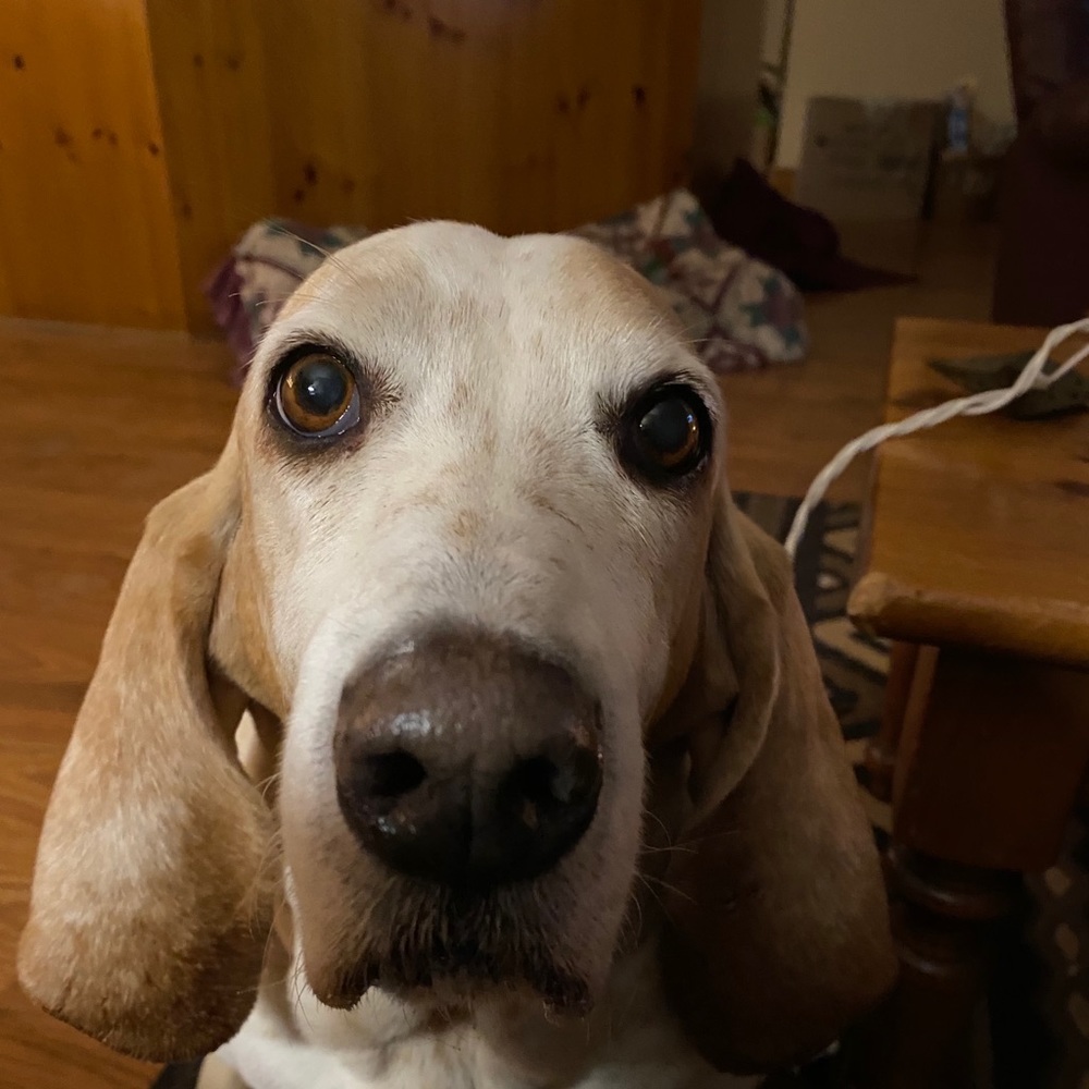 Meet your Posher, Denise